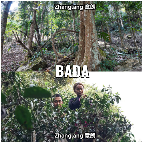 Bada - high - 1
